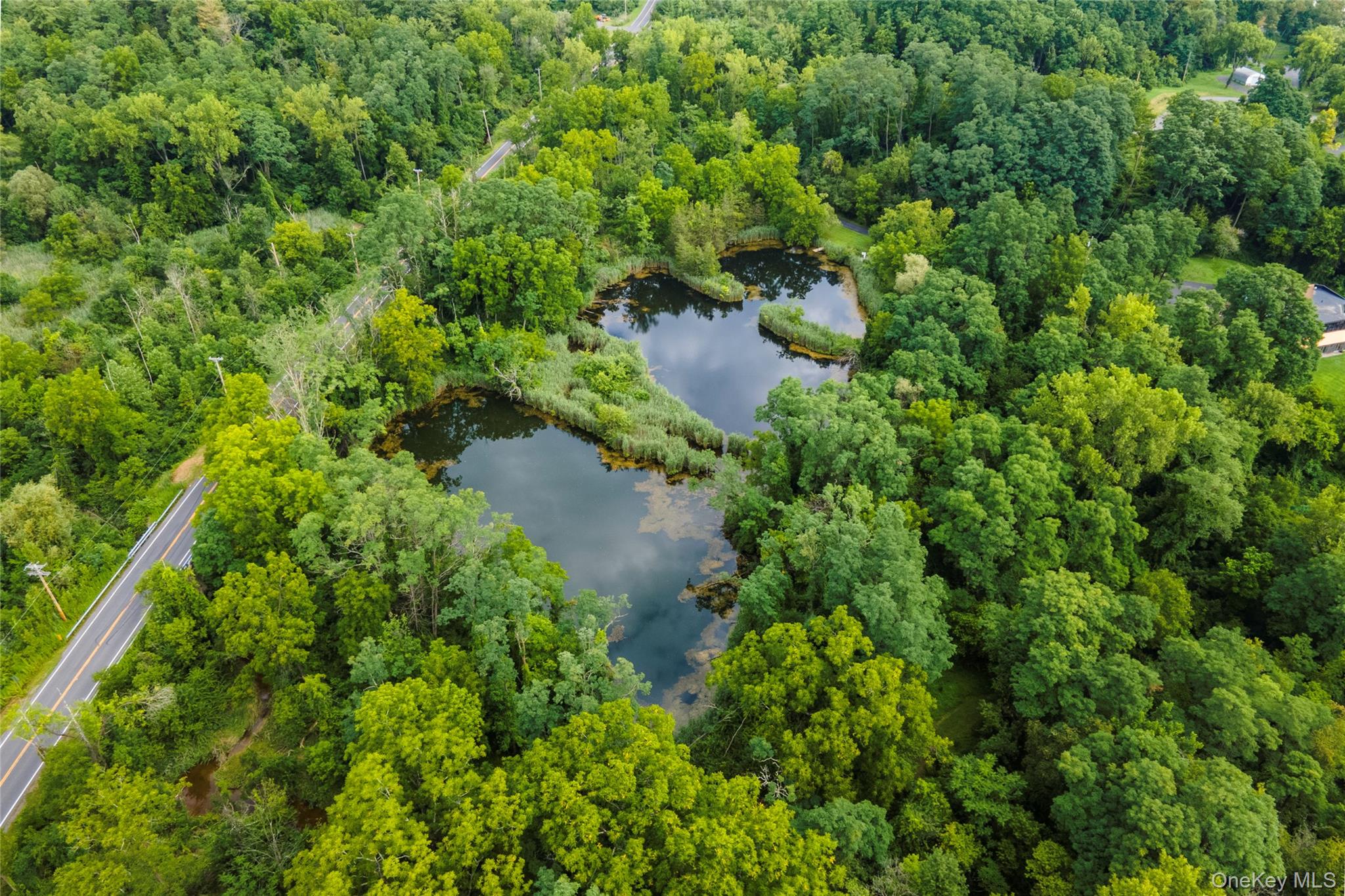 166 Ulster Landing Road