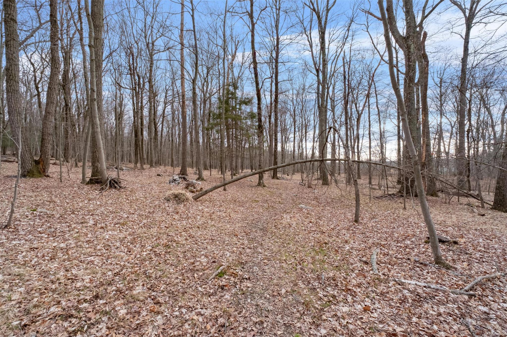 62 Ernest Road, Stanfordville, New York image 49