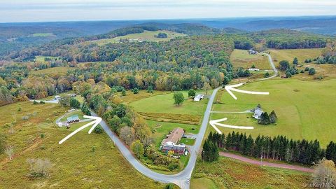 Vacant Land For Sale - 000 Kautz Road<br/> Callicoon, NY 12723