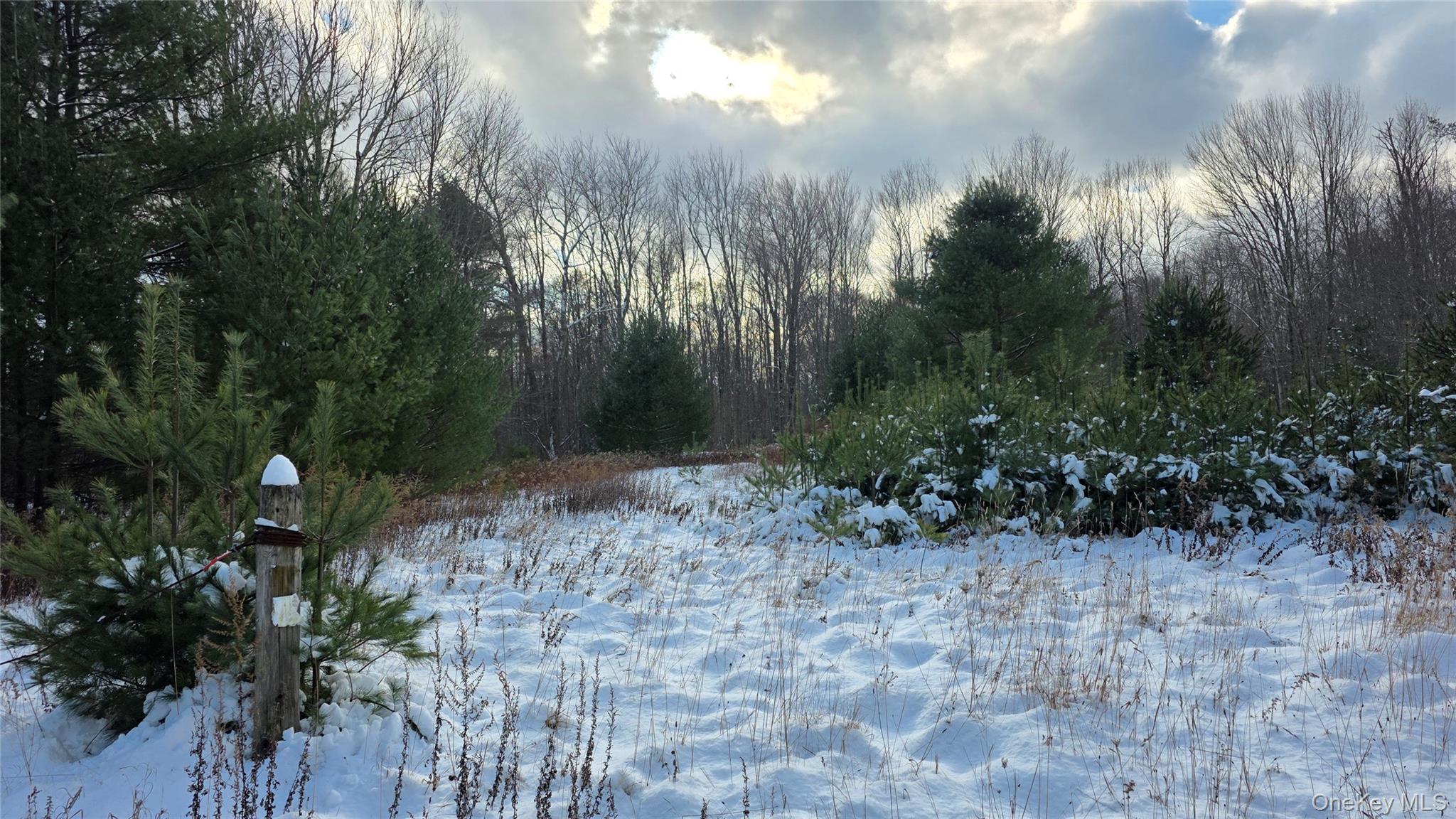 1487 Ulster Heights Road