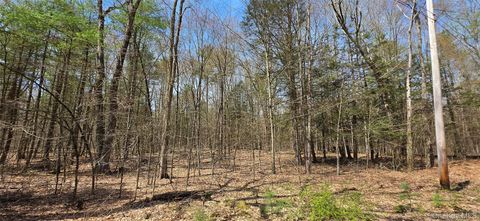 Photo of Lot 13 Tyler Road, Cochecton, NY 12726 (MLS # 989628)