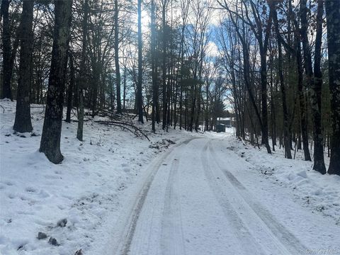 Vacant Land For Sale - Cedar Drive<br/> Elizaville, NY 12523