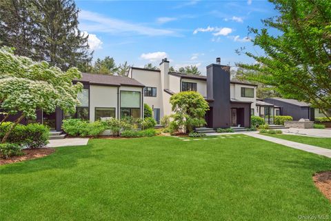 295 Foxhunt Crescent Syosset NY 11791