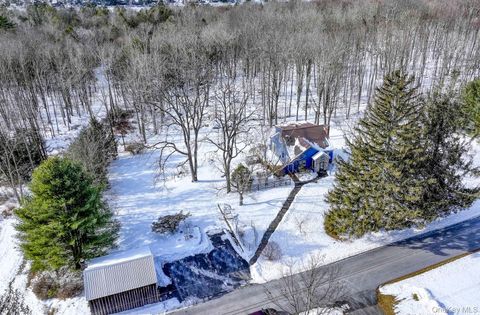 58 Wildwood Drive South Fallsburg NY 12779