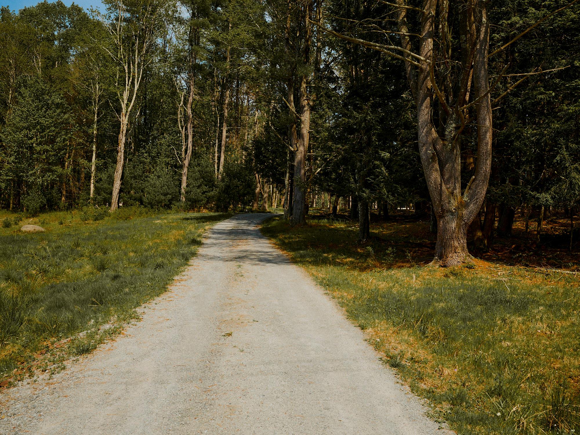 586 Perry Road, Bethel, New York image 39