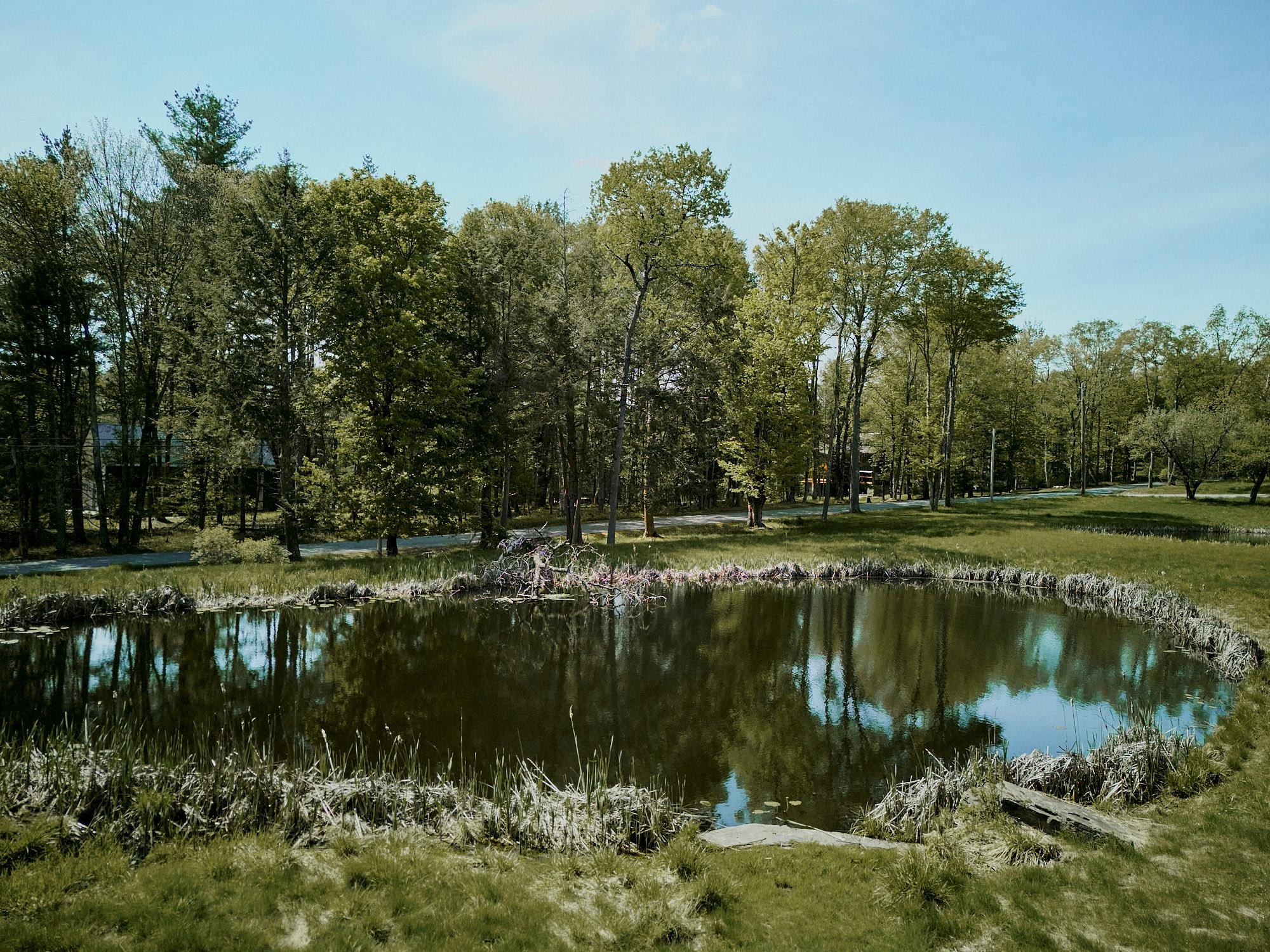 586 Perry Road, Bethel, New York image 41