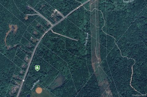 Vacant Land For Sale - 1187 Lakes Road<br/> Monroe, NY 10950