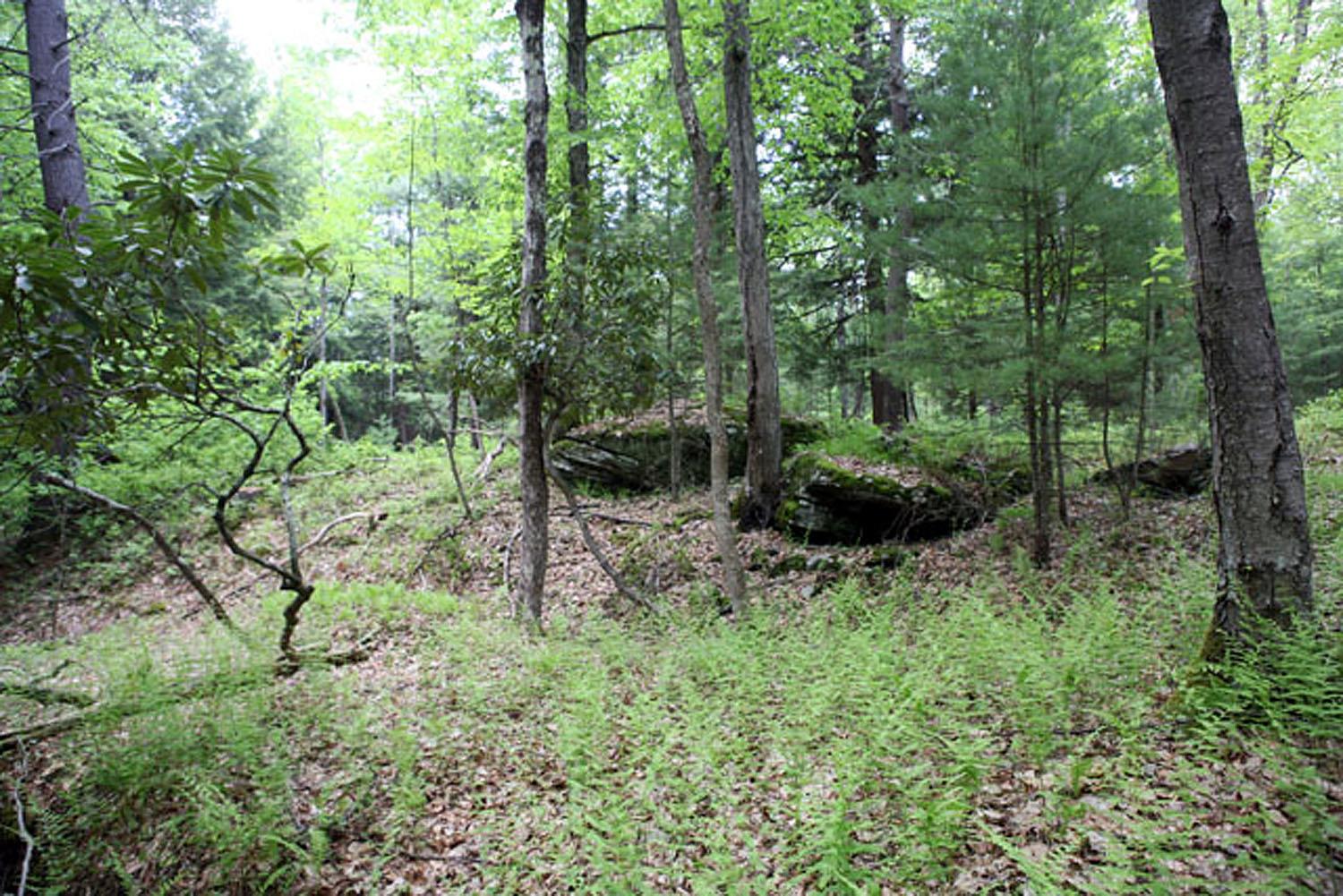 Lot 23 Serenity Drive, Callicoon, New York image 14
