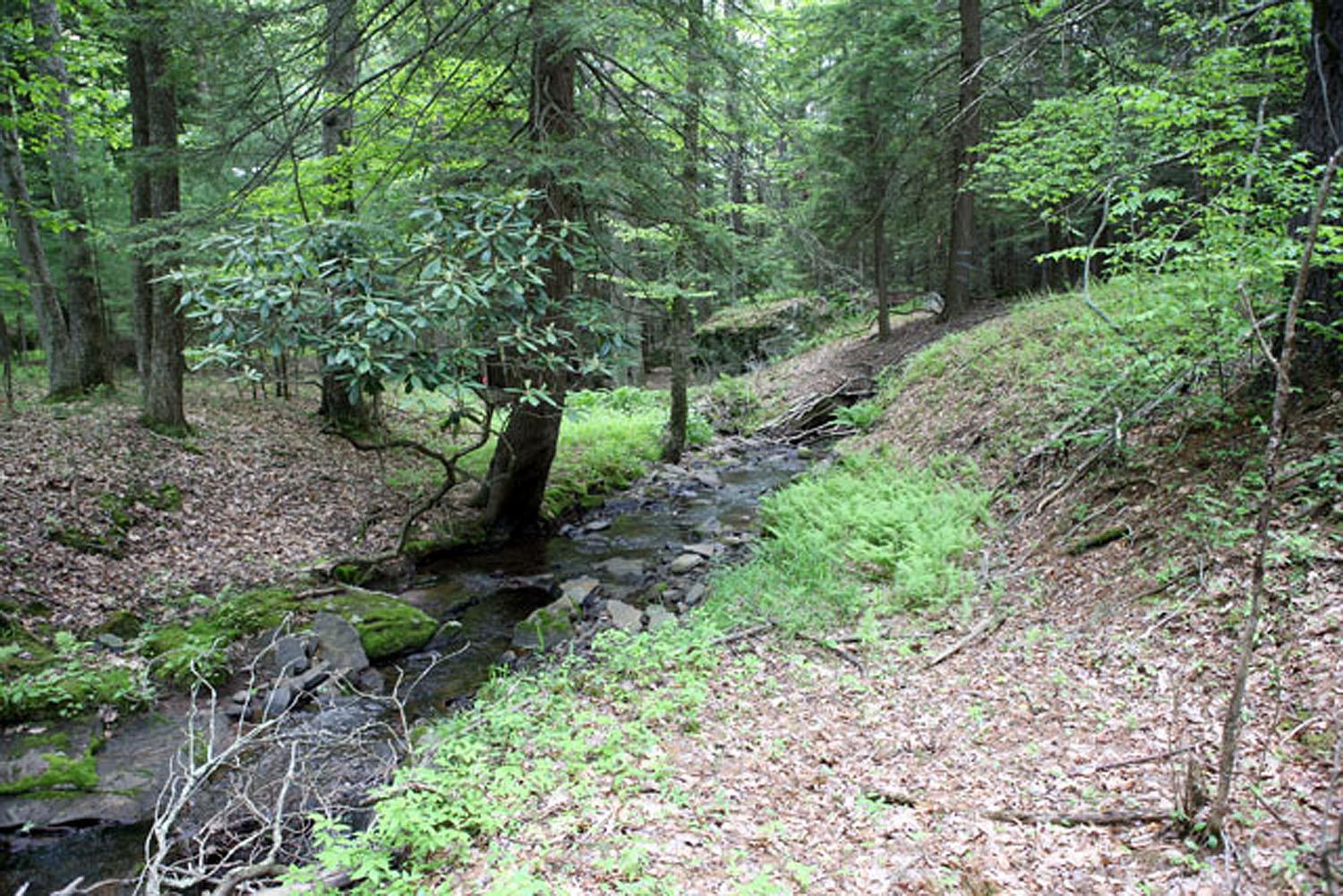Lot 23 Serenity Drive, Callicoon, New York image 5