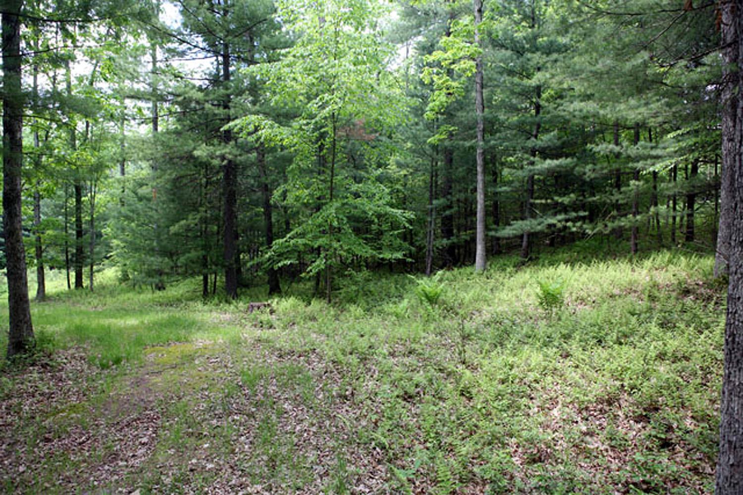 Lot 23 Serenity Drive, Callicoon, New York image 8