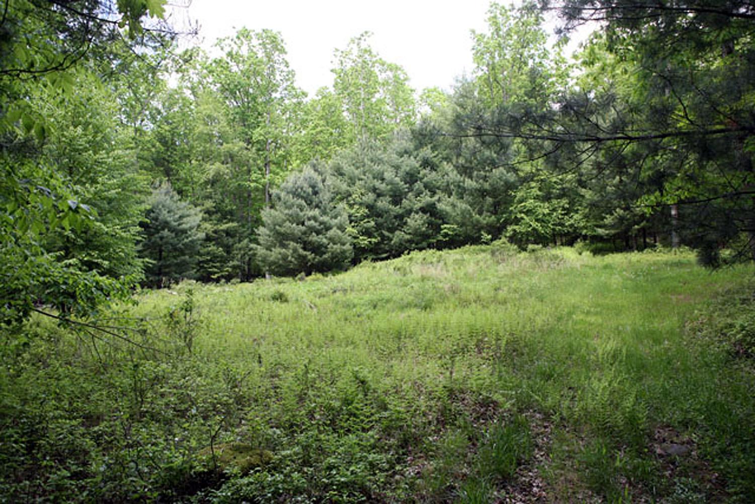 Lot 23 Serenity Drive, Callicoon, New York image 6