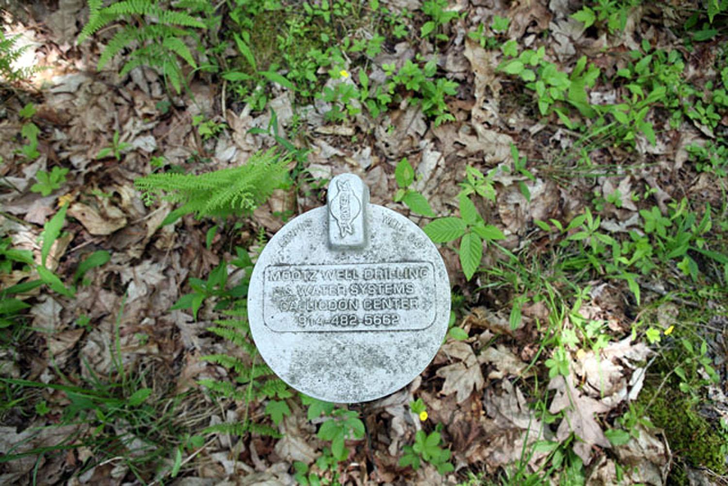 Lot 23 Serenity Drive, Callicoon, New York image 3