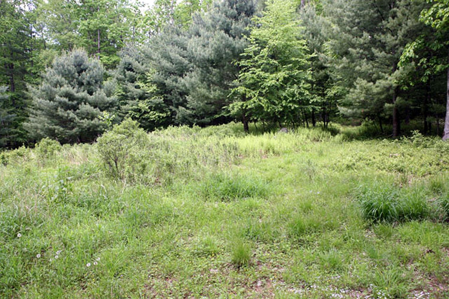 Lot 23 Serenity Drive, Callicoon, New York image 7
