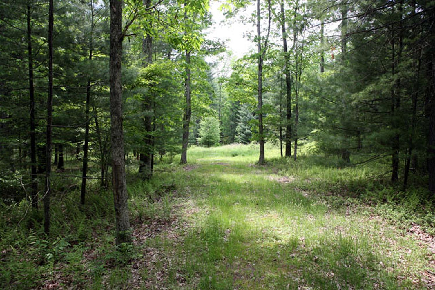 Lot 23 Serenity Drive, Callicoon, New York image 1