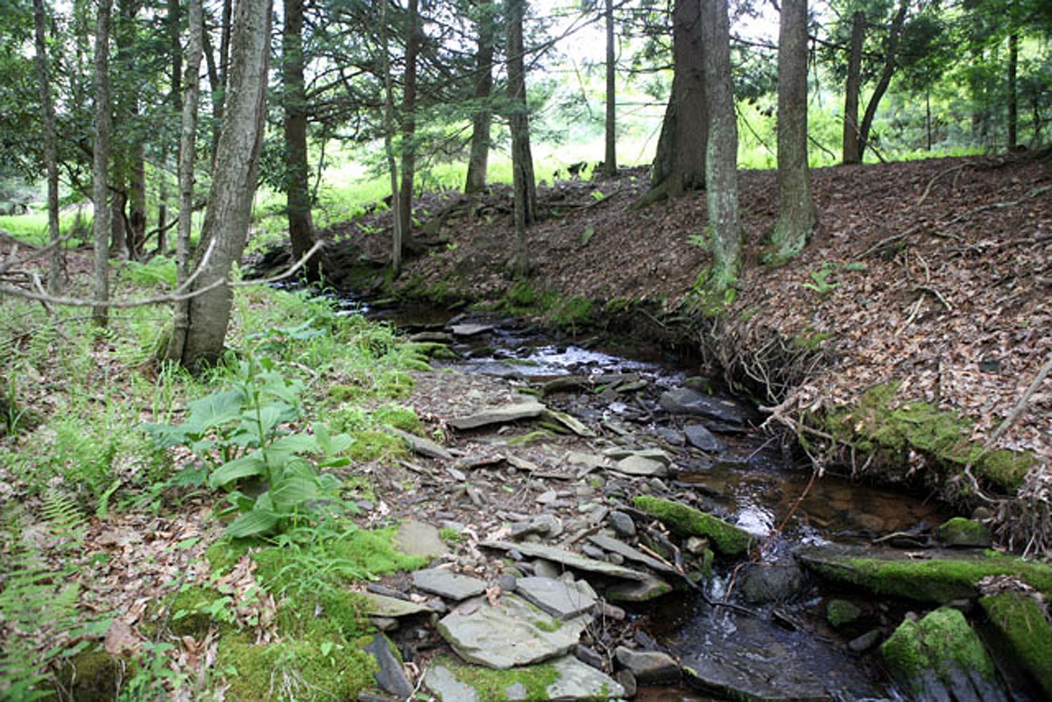 Lot 23 Serenity Drive, Callicoon, New York image 4