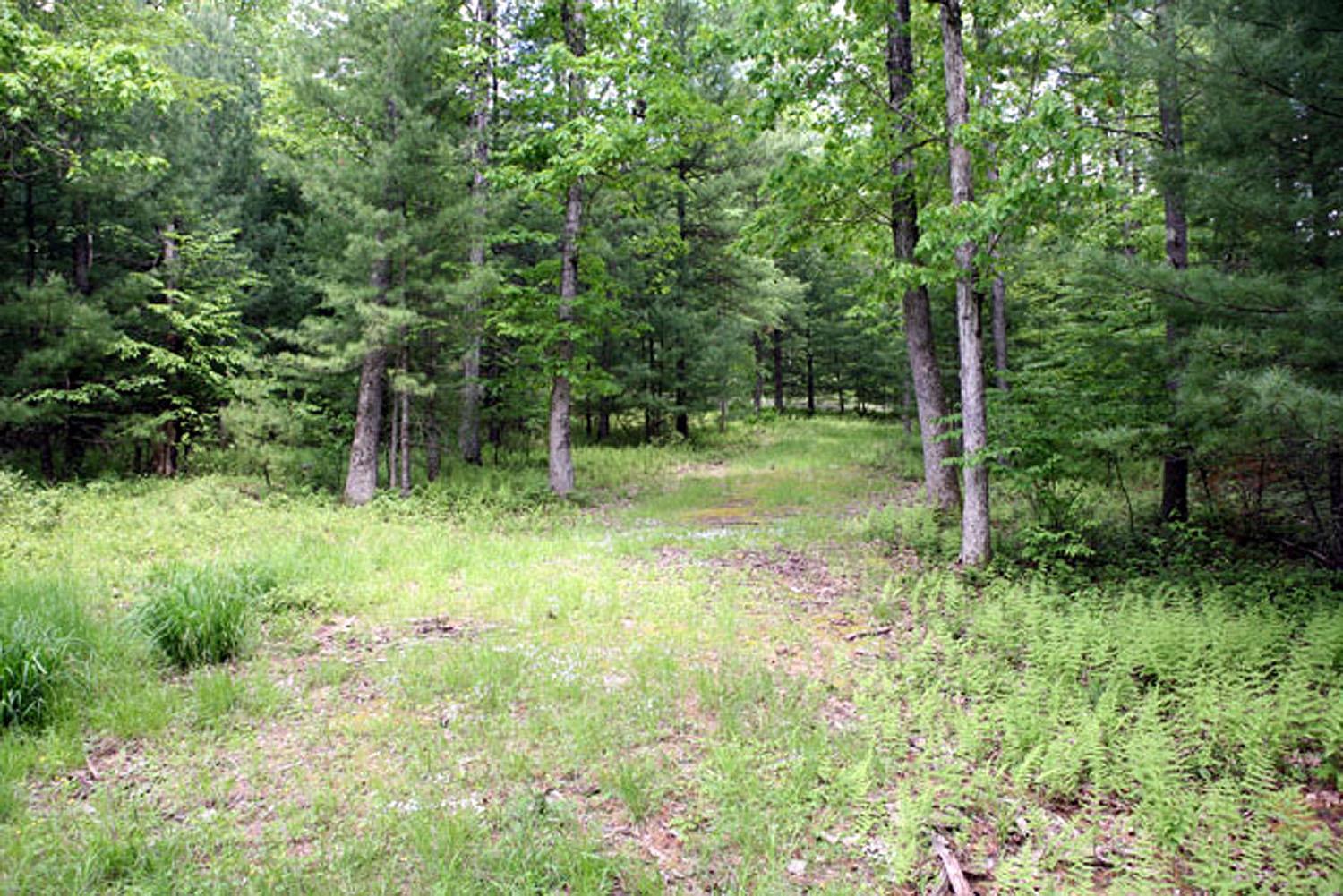 Lot 23 Serenity Drive, Callicoon, New York image 10