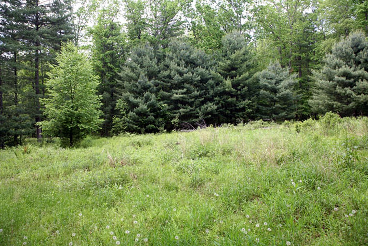 Lot 23 Serenity Drive, Callicoon, New York image 12