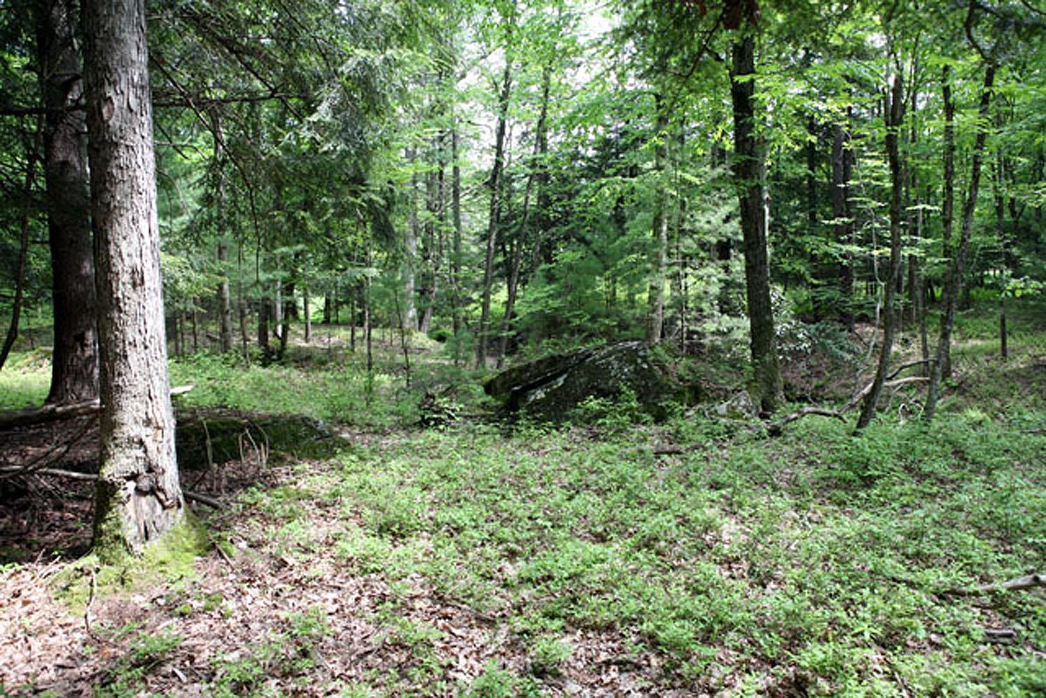 Lot 23 Serenity Drive, Callicoon, New York image 15