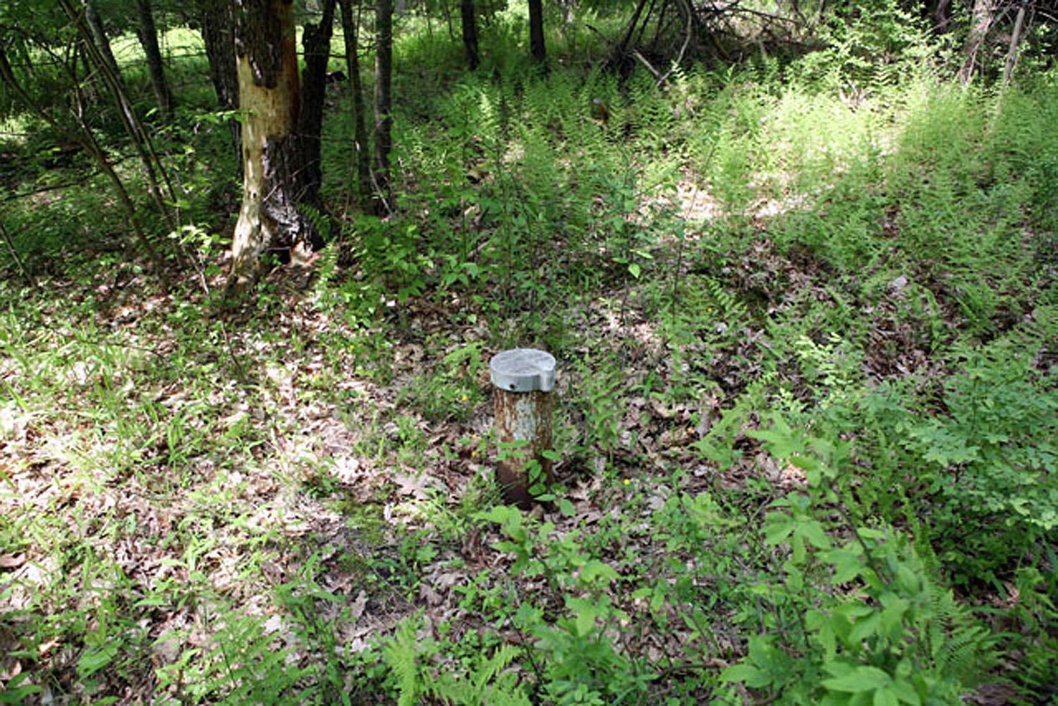 Lot 23 Serenity Drive, Callicoon, New York image 11