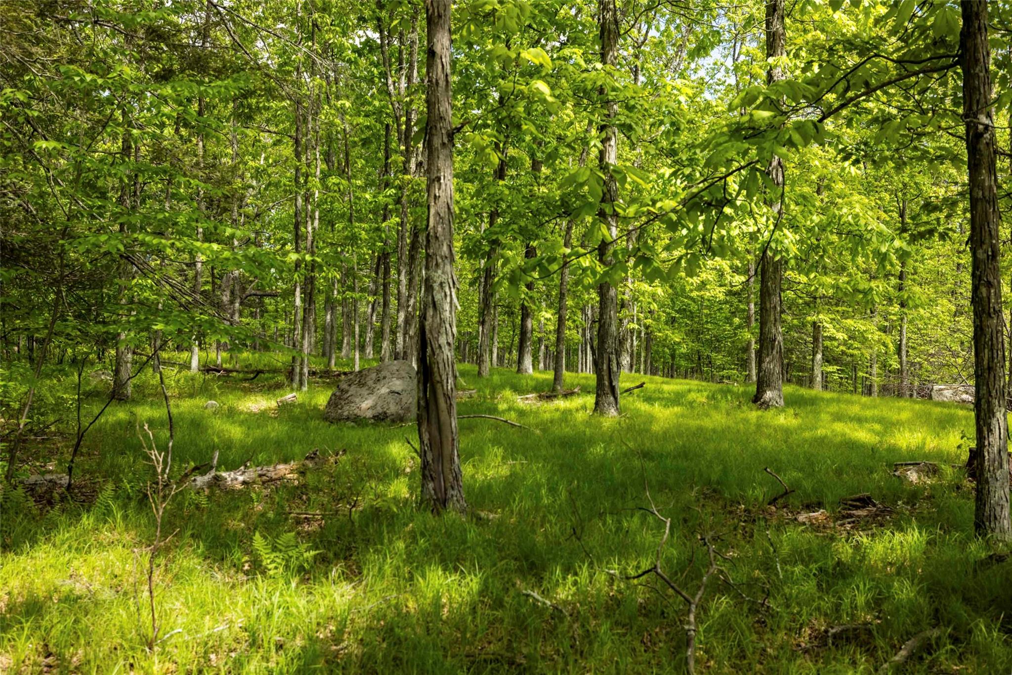 8 Forest Camp Road, Wawarsing, New York image 10