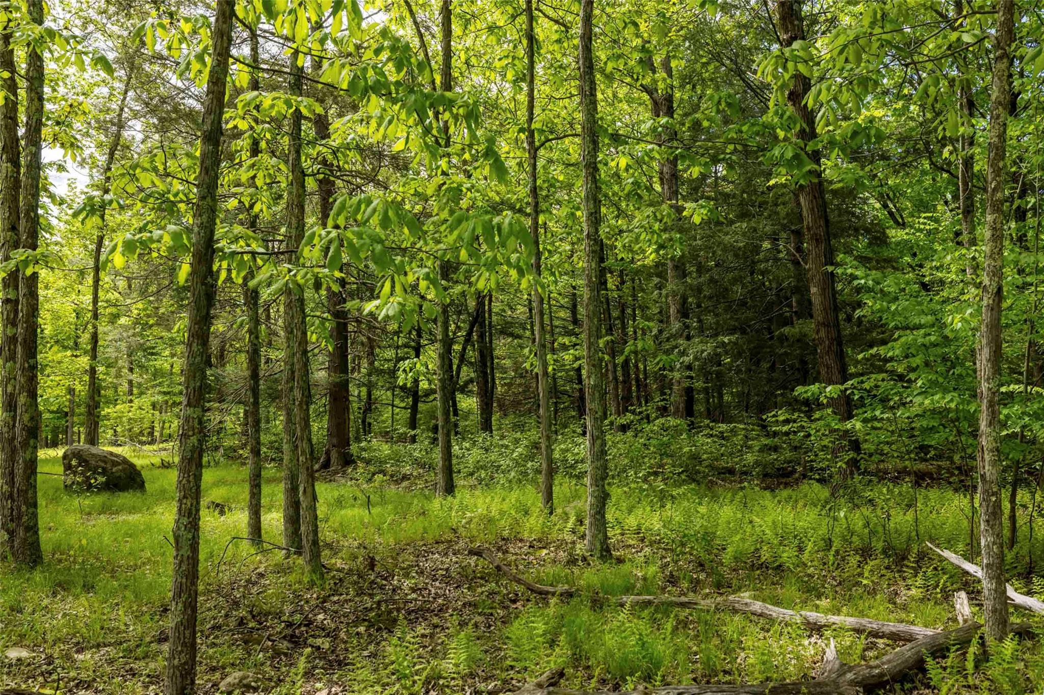 8 Forest Camp Road, Wawarsing, New York image 11