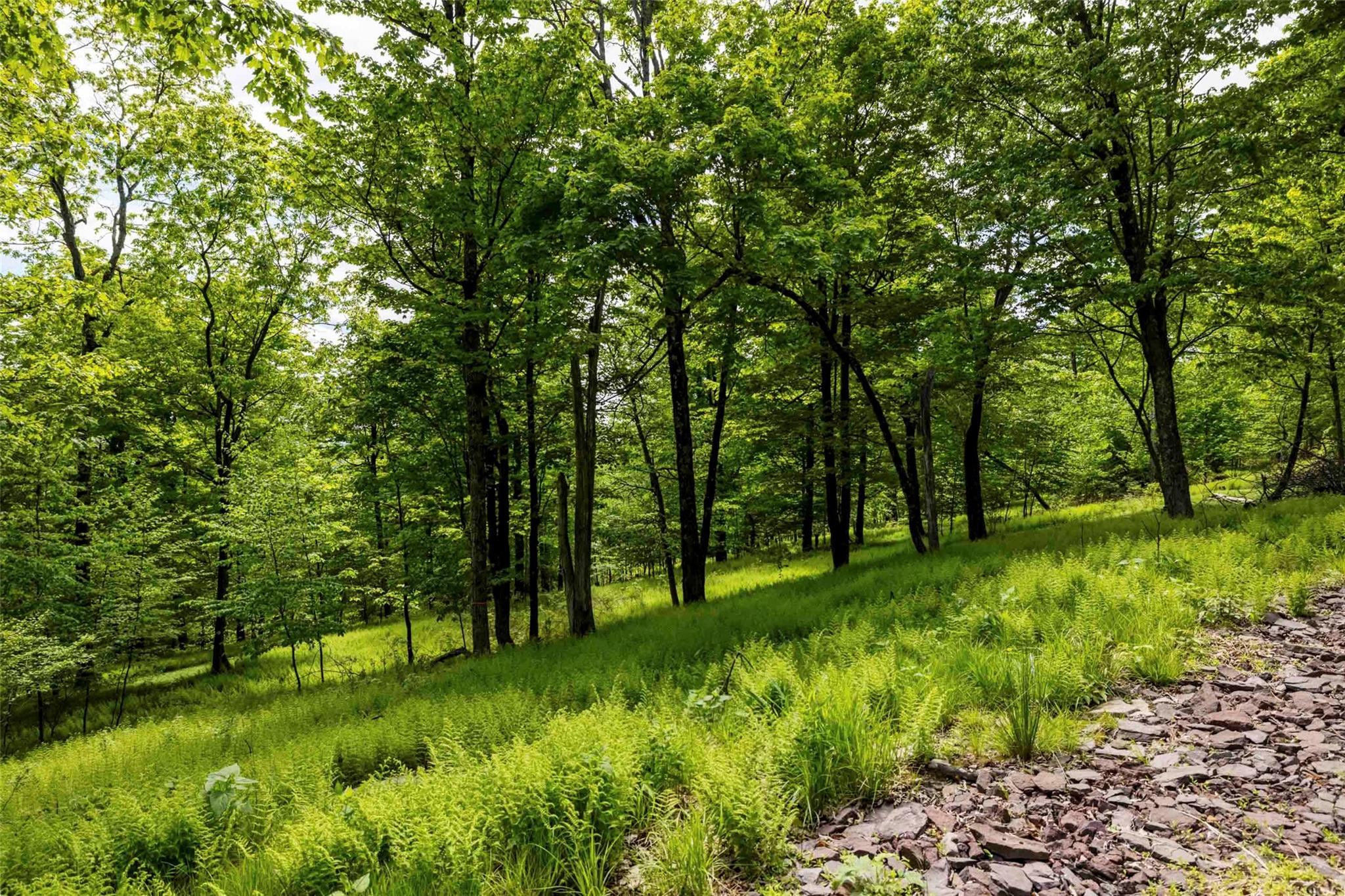 8 Forest Camp Road, Wawarsing, New York image 8