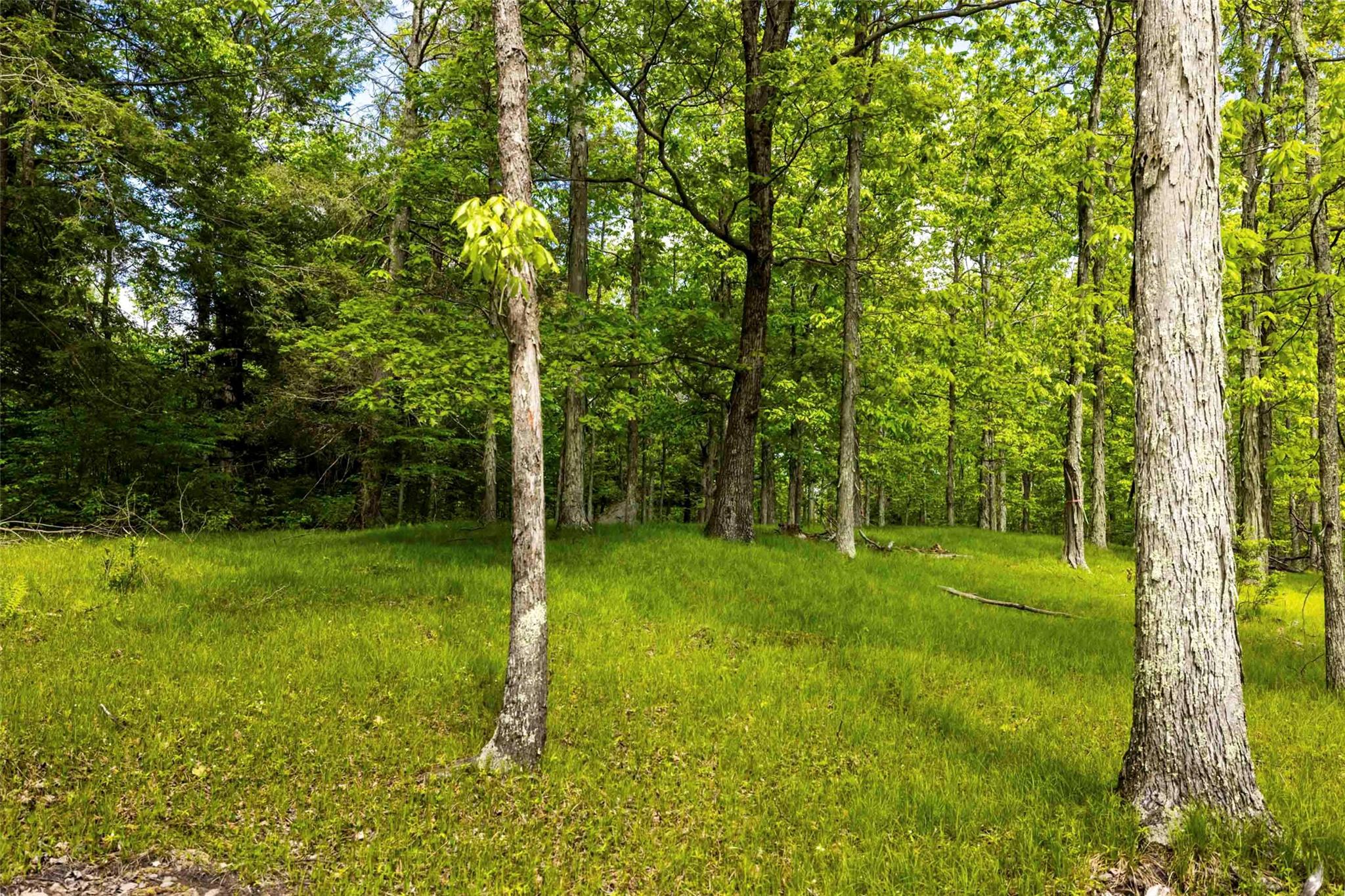 8 Forest Camp Road, Wawarsing, New York image 9