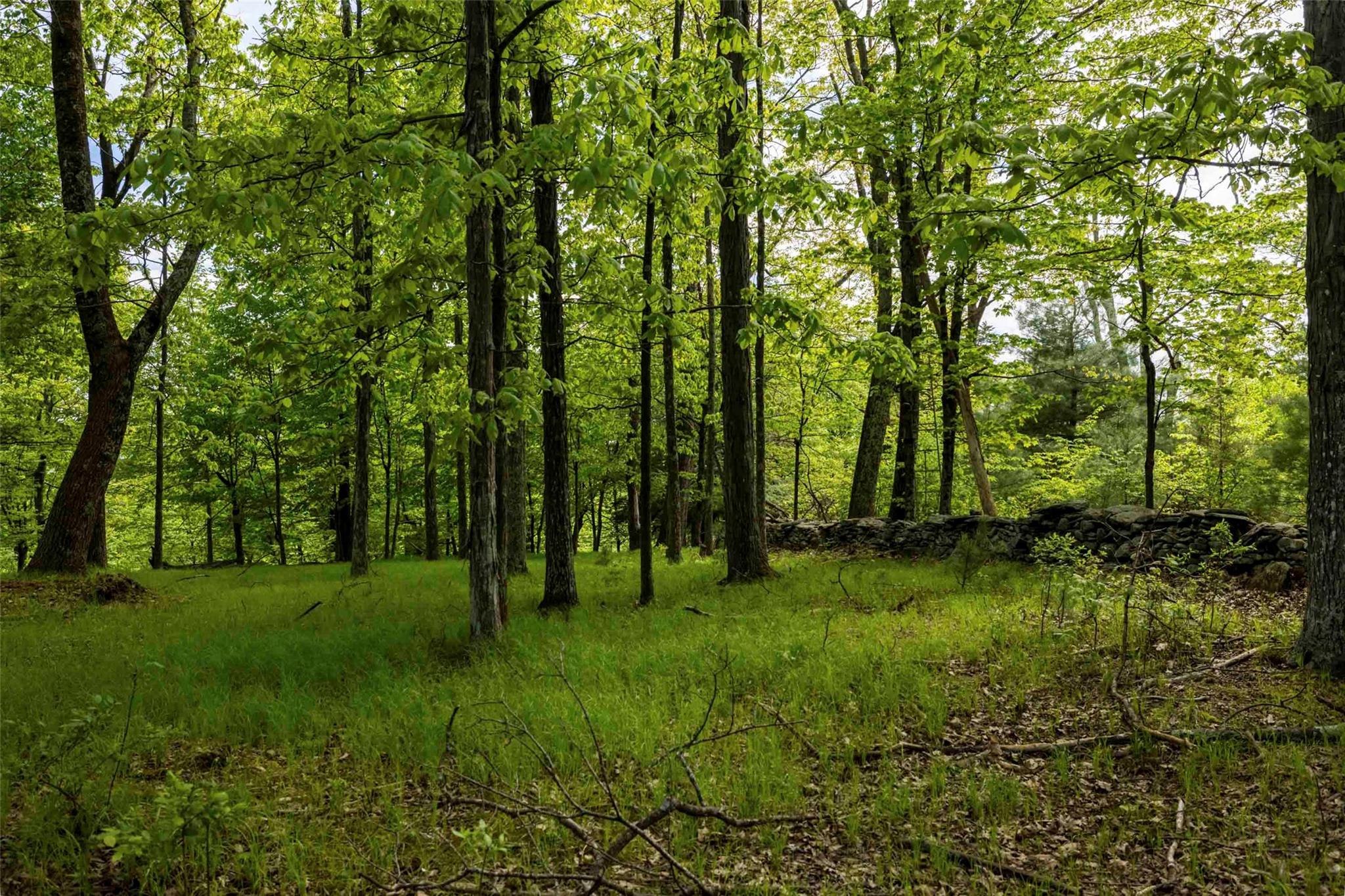 8 Forest Camp Road, Wawarsing, New York image 14