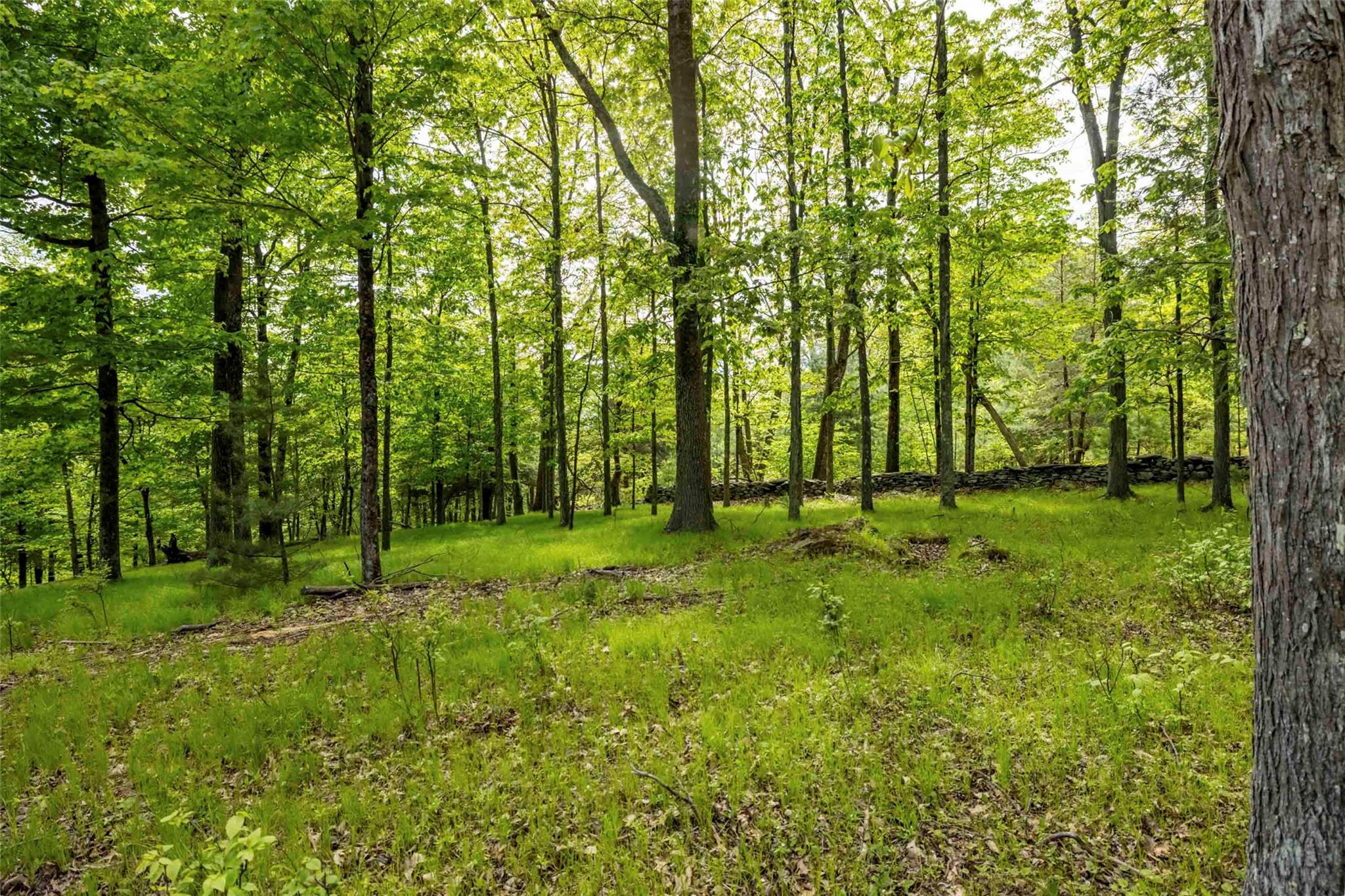 8 Forest Camp Road, Wawarsing, New York image 13