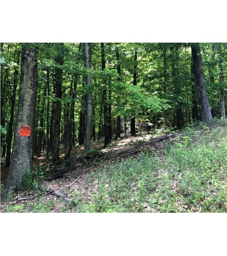 84 Mountain Road, Bloomingburg, New York image 8