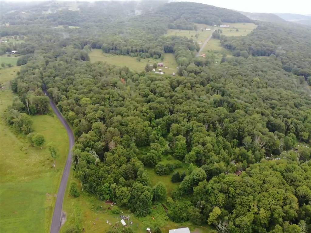 Tbd00 Little Hollow Road, Neversink, New York image 18