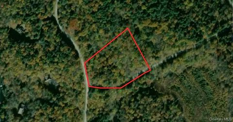 Vacant Land For Sale - 00 Kenoza Trail<br/> Jeffersonville, NY 12750