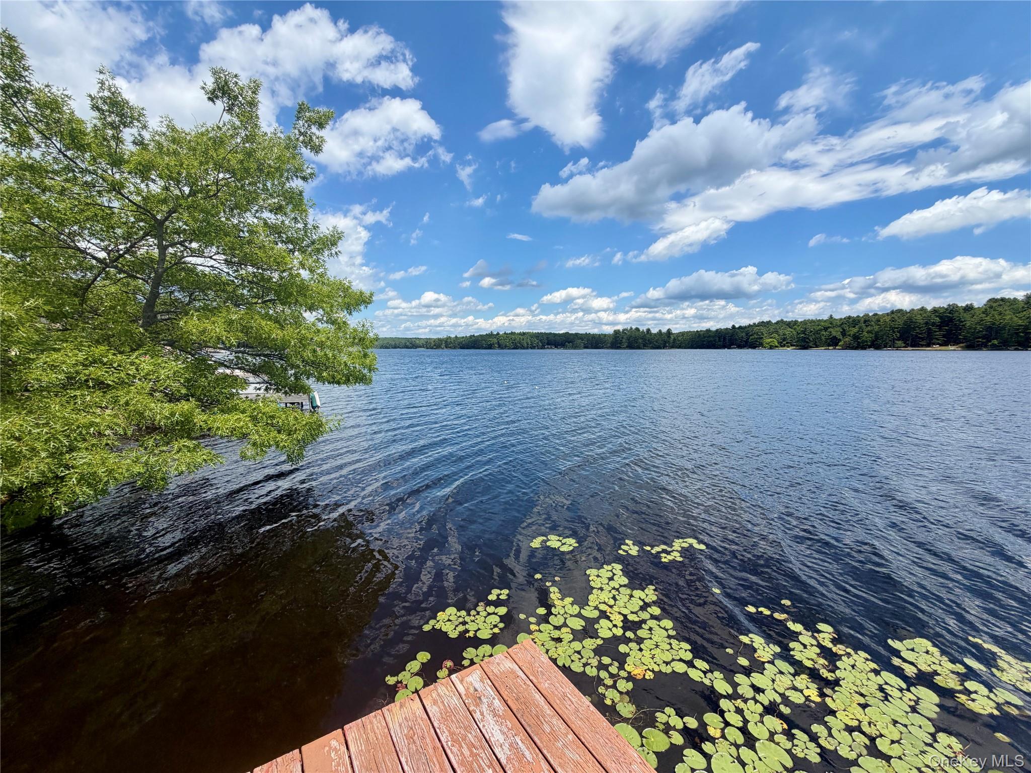 90 Minisink Trail