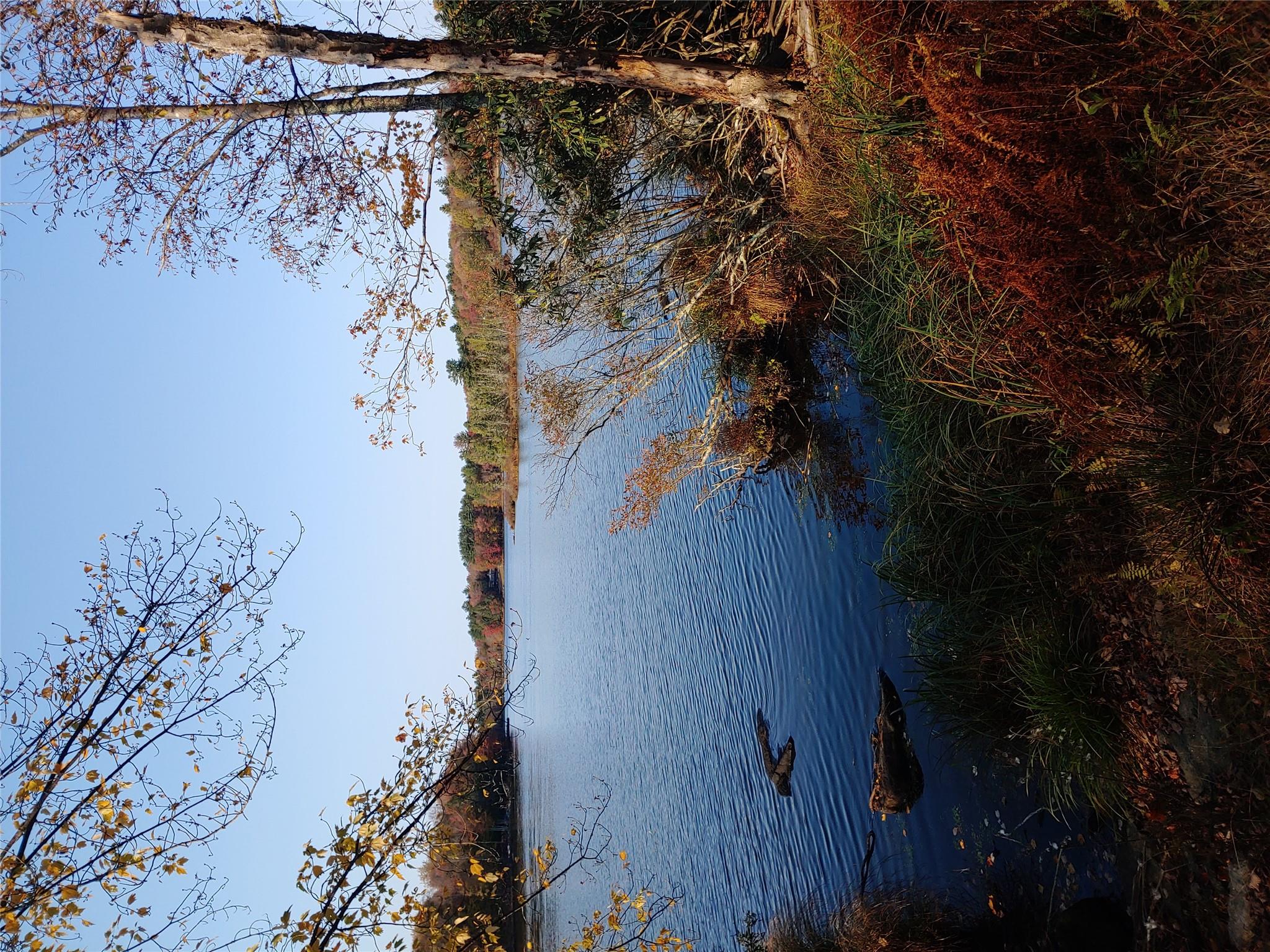 106 Pine Grove Road Tr 127 Rd, Smallwood, New York image 38