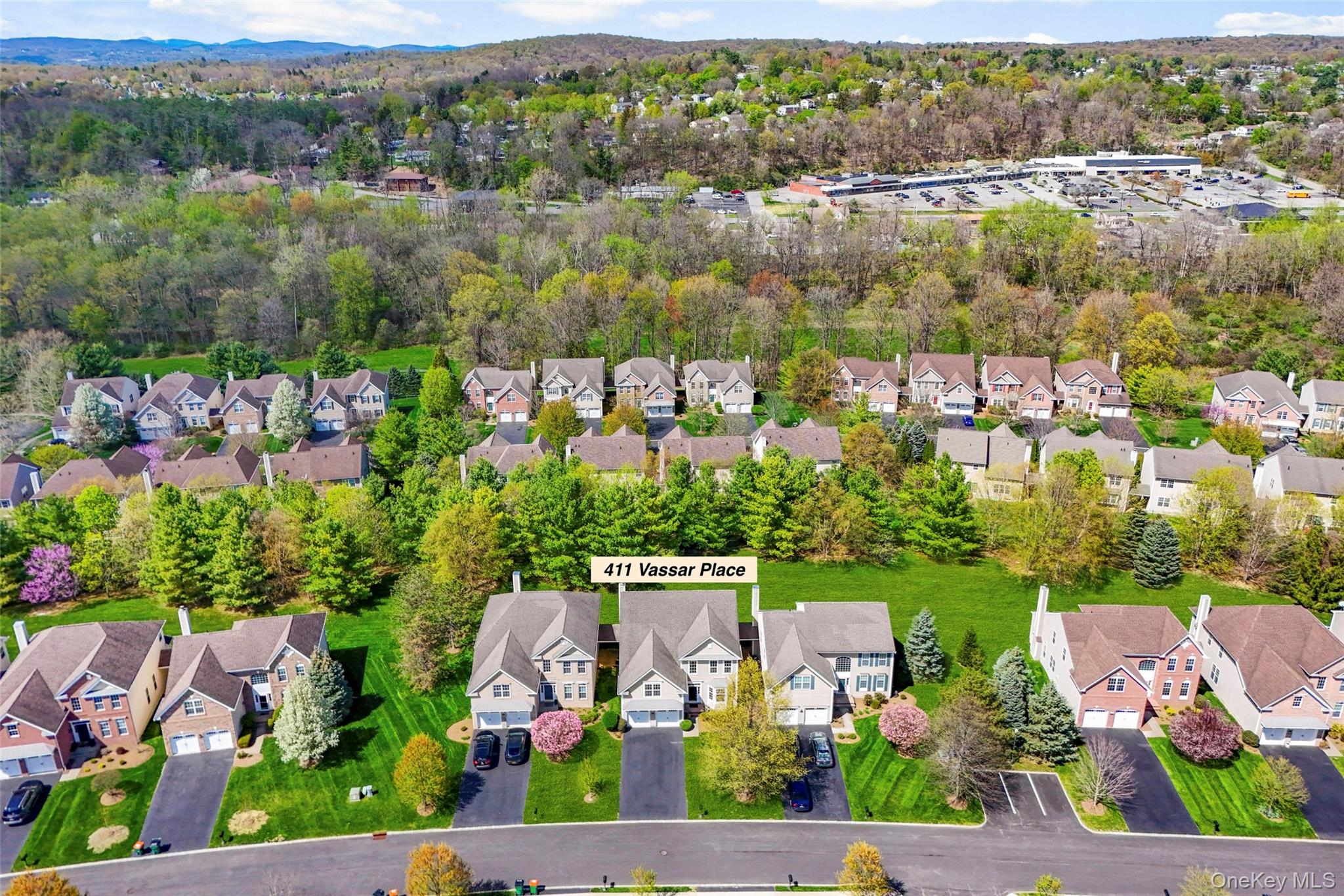 411 Vassar Place