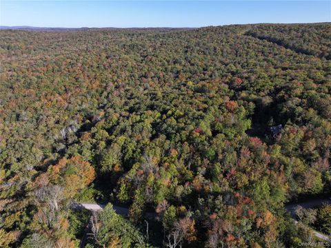 Vacant Land For Sale - Tr 4<br/> Fremont Center, NY 12736