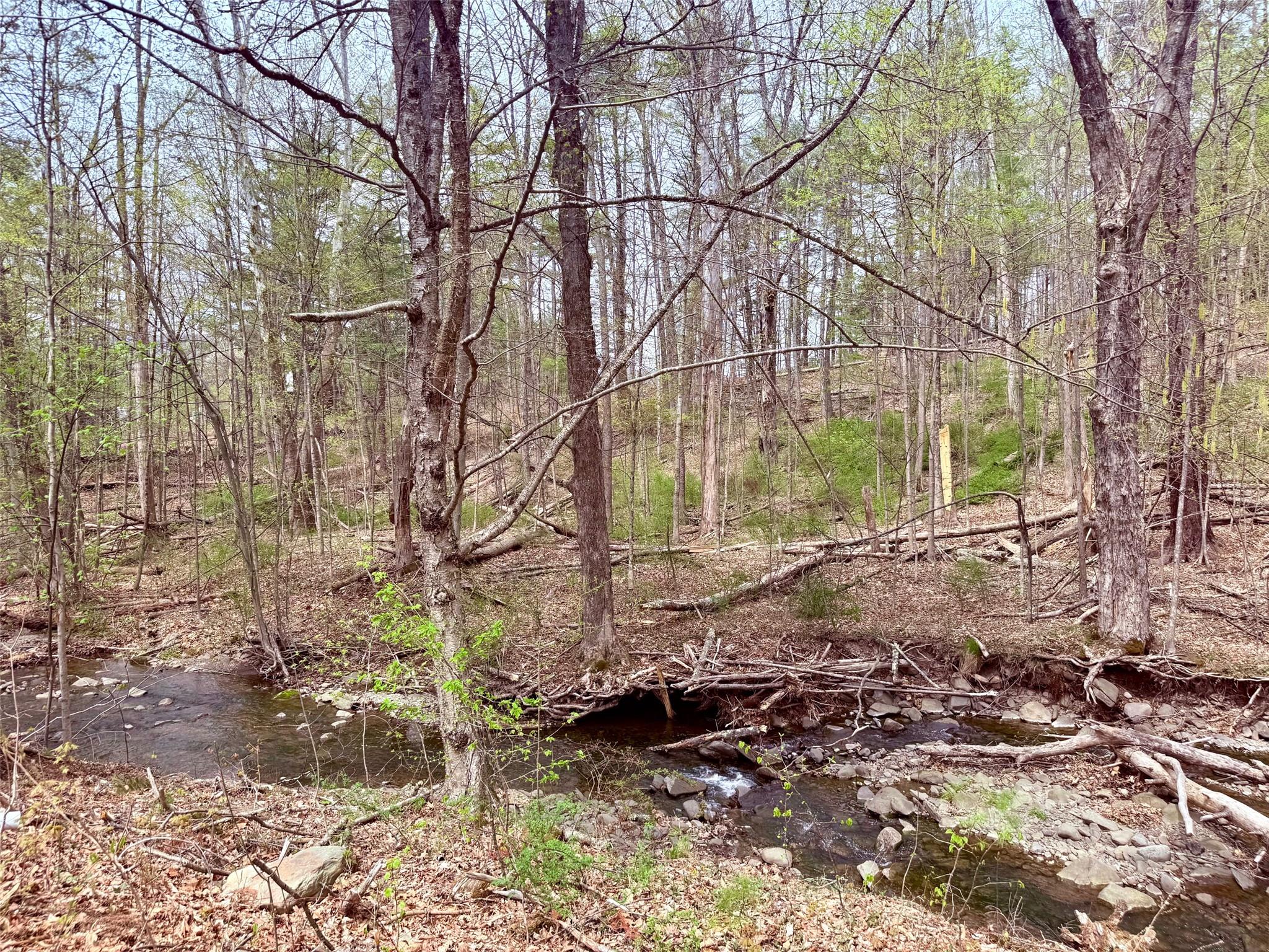 15 Desilva Road, Boiceville, New York image 30
