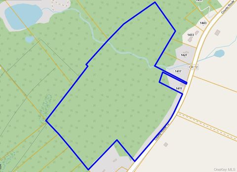 Vacant Land For Sale - Co Rt 12<br/> New Hampton, NY 10958