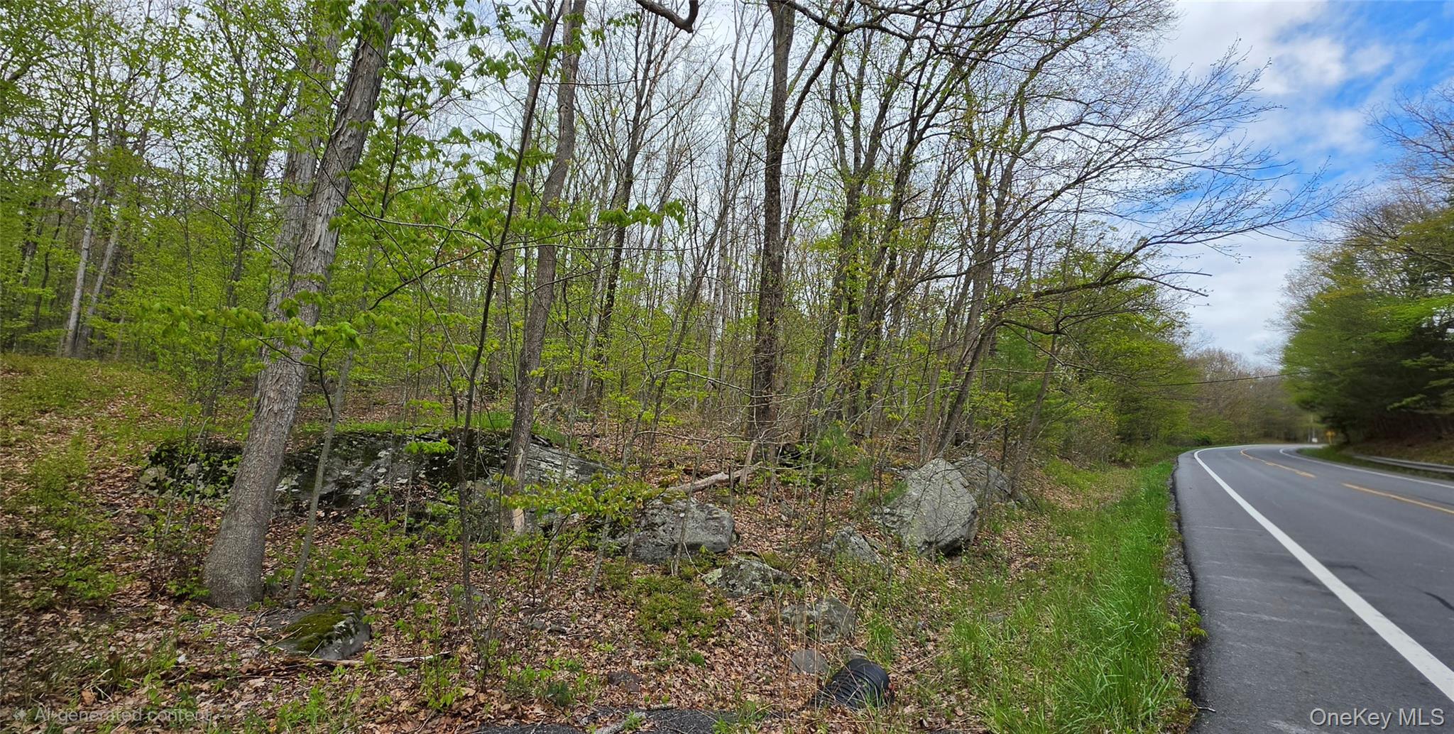Lot 23.21 State Route 97