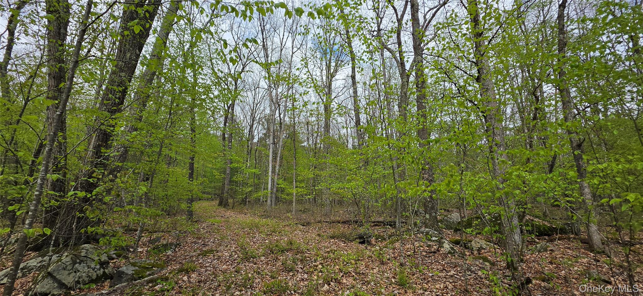 Lot 23.21 State Route 97