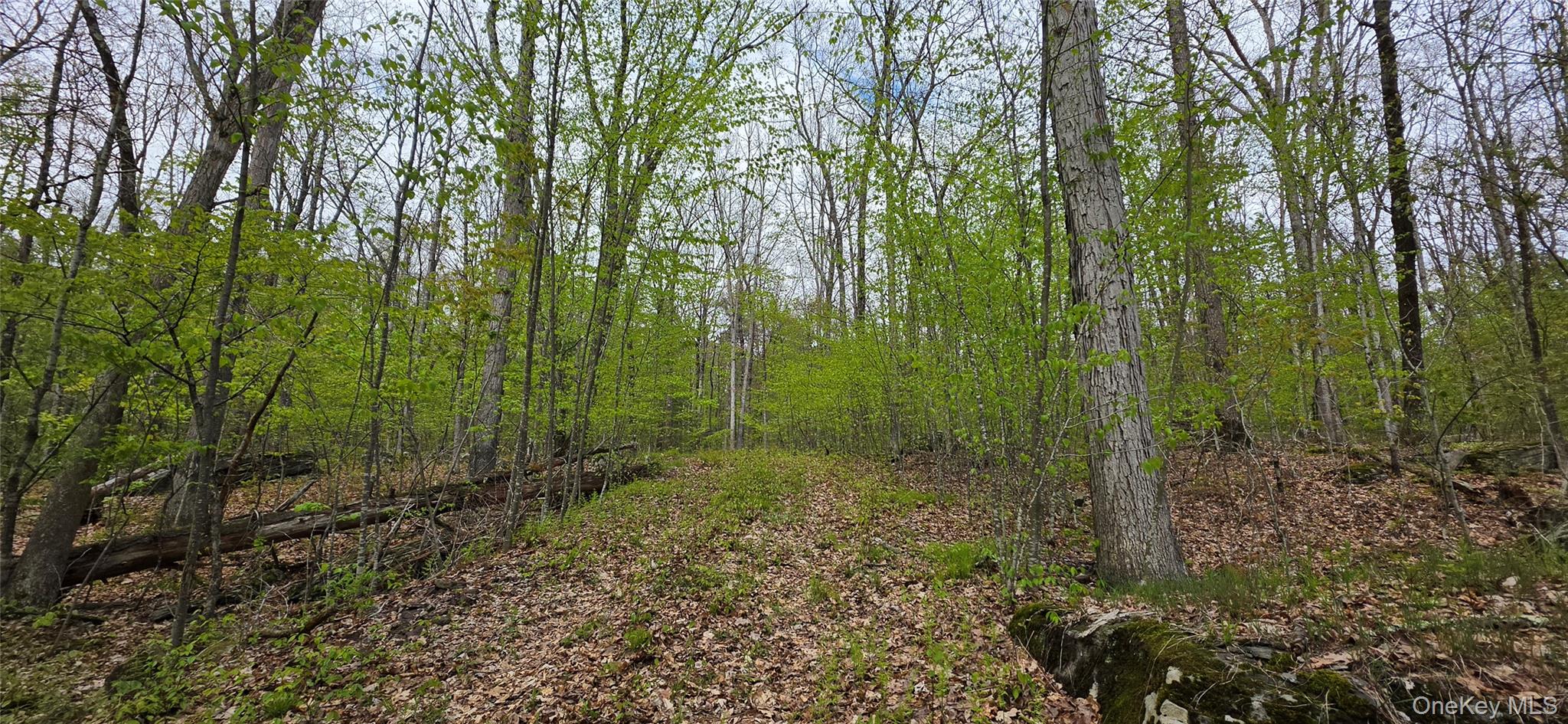 Lot 23.21 State Route 97