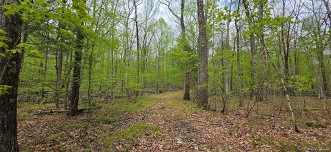 Vacant Land For Sale - LOT 23.21 State Route 97<br/> Narrowsburg, NY 12764
