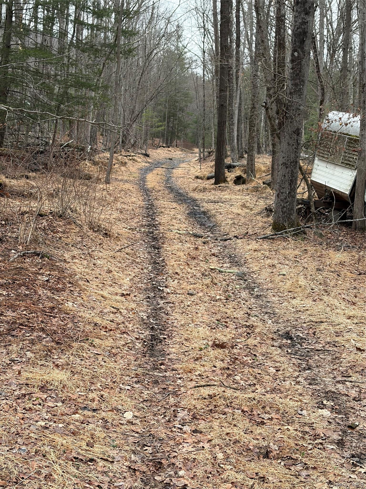 Red Hill Road