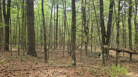 Vacant Land For Sale - Starlight Drive<br/> Monticello, NY 12701