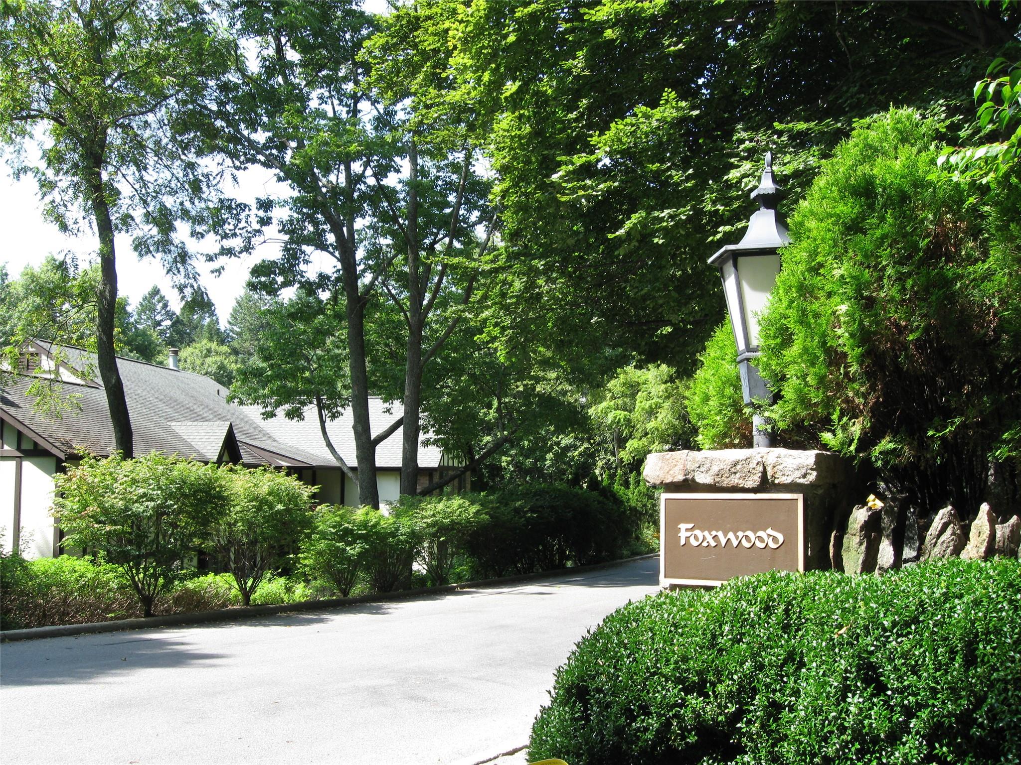 24 Manville Lane #4, Pleasantville, New York image 39