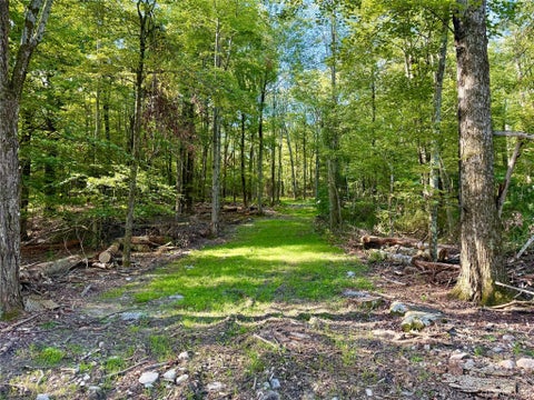 Vacant Land For Sale - Mt Prosper Road<br/> Sullivan County, Wurtsboro, NY 12790