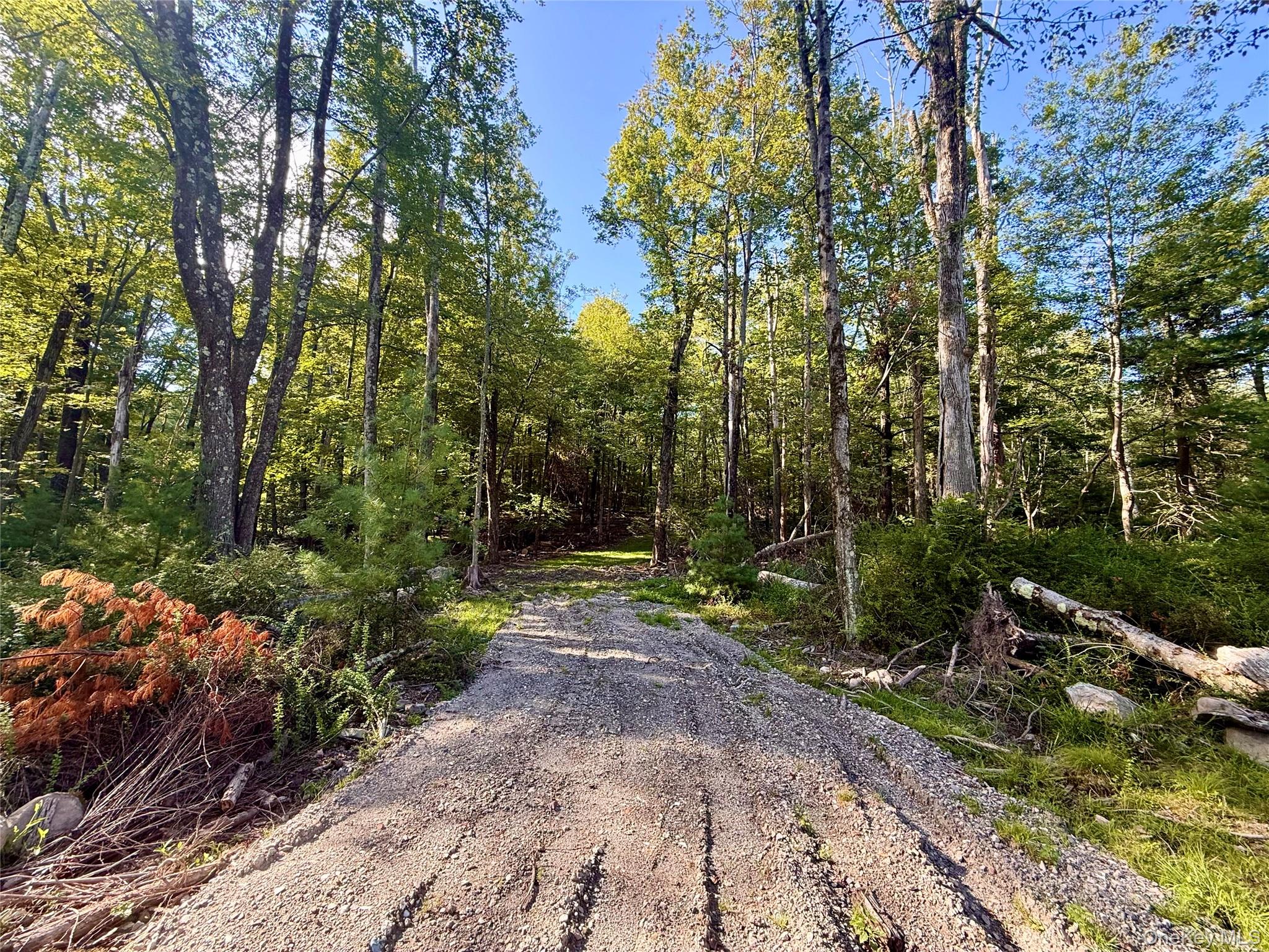 Mt Prosper Road