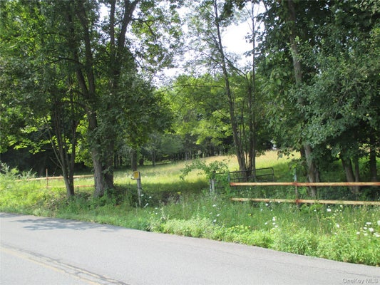 BRADY ROAD, WARWICK, NY 10990 - Image 2e7c3e5e10144818ffb97d5cb0283f24/1505263682