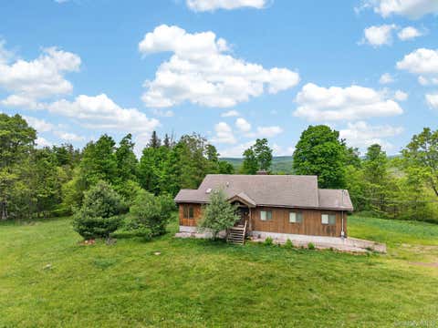 Photo of 81 N Pond Drive, Livingston Manor, NY 12768 (MLS # 1010224)