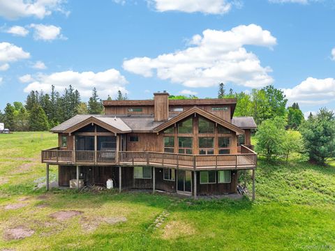 Homes For Sale - 81 N Pond Drive<br/> Livingston Manor, NY 12768
